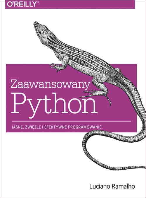 Podręcznik Do Informatyki Zaawansowany Python Jasne Zwięzłe I Efektywne Programowanie Ceny I 7159