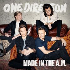 Zdjęcie One Direction - Made In The A.M. (CD) - Białystok