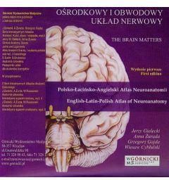Ośrodkowy i obwodowy układ nerwowy (CD)