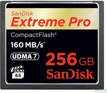 SANDISK　SDCFSP-256G-J46D [256GB] SanDisk Extreme Pro 256 GB 160 MB/s CompactFlash Memory Card