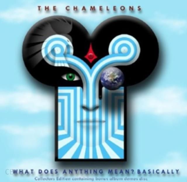 i-chameleons-what-does-anything-mean-basically-cd.jpg