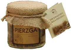 Zdjęcie Łysoń Pierzga Pszczela Słoik 100G - Kielce