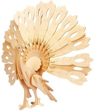 Zdjęcie Eureka Gepetto - Paw 105684 - Nieszawa