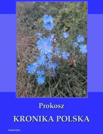 Kronika polska Prokosza - Prokosz (E-book)