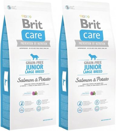 Brit Care Grain Free Junior Large Salmon&Potato 2X12Kg