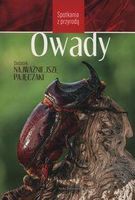 Zdjęcie Spotkania z przyrodą. Owady - Częstochowa