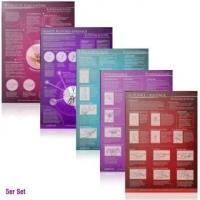 [5Er Set] G-Punkt-Massage, Yoni-Massage, Lingam-Massage, Sanfte Klitorismassage, Weibliche Ejakulation, 5 Teile