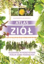 Atlas ziół. Kulinarne wykorzystanie roślin dziko rosnących - Aleksandra Halarewicz (E-book) - E-poradniki