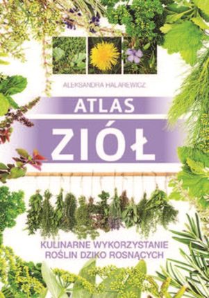 Atlas ziół. Kulinarne wykorzystanie roślin dziko rosnących - Aleksandra Halarewicz (E-book)