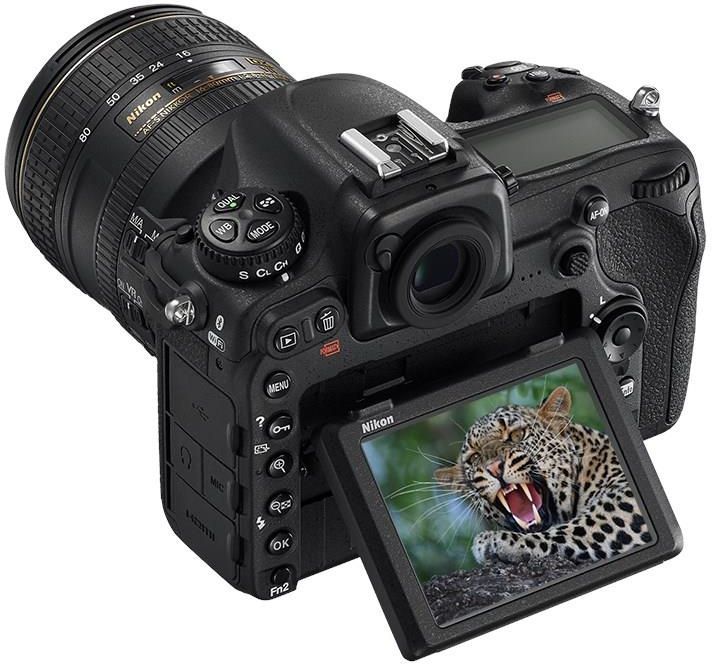 Nikon d500 ボディ Amazon | Nikon D500 DXフォーマットデジタル一眼レフ（本体のみ