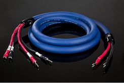 Zdjęcie Cardas Audio Clear Beyond Speaker 2x 2,5 m  - Stęszew