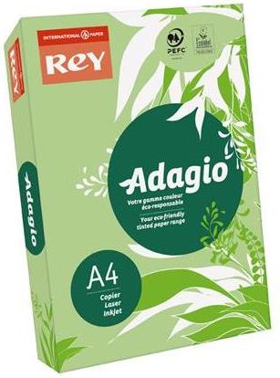 Rey Adagio Papier Ksero A4/80g zielony/leaf green ADAGI080X629