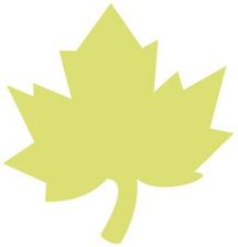 Zdjęcie Dziurkacz Ozdobny 7,5Cm Klon - Środa Wielkopolska