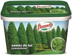 Zdjęcie Florovit do Tui (żywotników) 4kg - Oborniki Śląskie