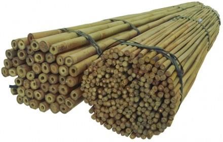 Dixie Store Tyczki Bambusowe 45 Cm 8/10 Mm /500 Szt/ (30)