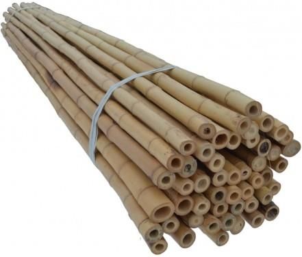 Dixie Store Tyczki Bambusowe 150 Cm 24/26 Mm /50 Szt/ (88)