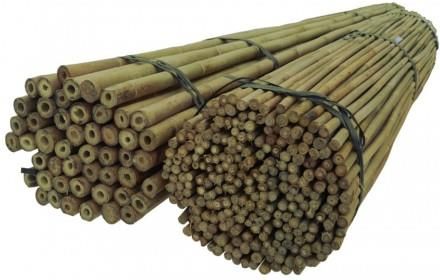 Dixie Store Tyczki Bambusowe 180 Cm 18/20 Mm /100 Szt/ (101)