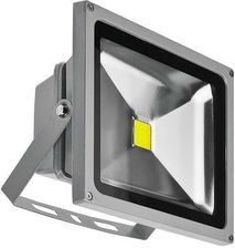 Azzardo Zewnętrzny Projektor Flood Lights Naświetlacz Led 30W Ip65 Jasny Szary (Fl203001 Bgr)
