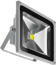Azzardo Zewnętrzny Projektor Flood Lights Naświetlacz Led 50W Ip65 Jasny Szary (Fl205001 Bgr)