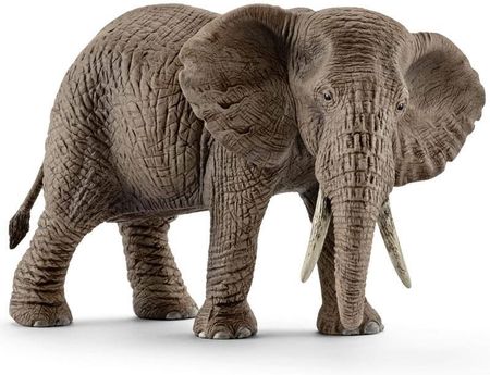 Schleich Samica Słonia Afrykańskiego (14761)