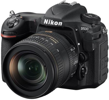 ニコン　D500 ⑥ ニコン「D500」 飛ぶ鳥も爽快に撮れるのに心揺れる - 日本経済新聞