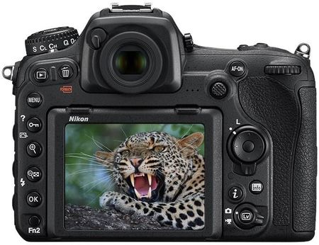 ニコン　D500 ⑥ ニコン「D500」 飛ぶ鳥も爽快に撮れるのに心揺れる - 日本経済新聞