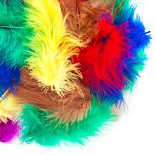 Zdjęcie Piórka 5g 12cm Basic - Dolsk