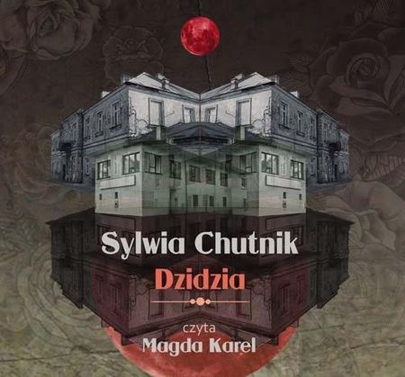 Dzidzia (audiobook)