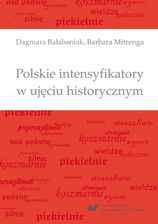 Polskie intensyfikatory w ujęciu historycznym (E-book)