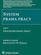 Zdjęcie System prawa pracy Tom 6 - Słomniki