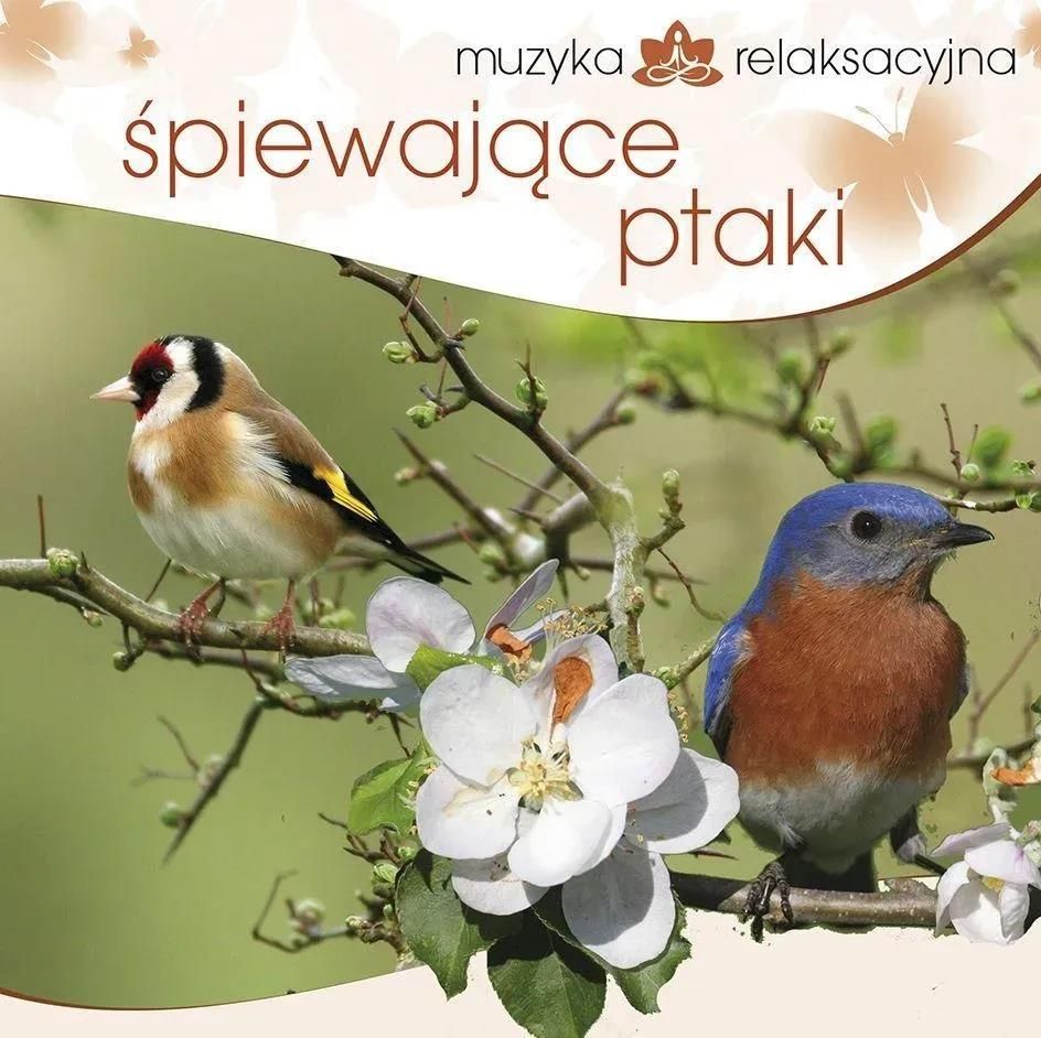 Muzyka Relaksacyjna Szum Morza śpiew Ptaków Płyta kompaktowa Muzyka Relaksacyjna - Śpiewające Ptaki (CD) - Ceny i