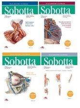Podręcznik medyczny Atlas anatomii człowieka Sobotta 3 tomy + tablice anatomiczne. Pakiet.  - zdjęcie 1