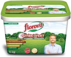 Zdjęcie Florovit Szybki Efekt do Trawników 4kg - Wrocław