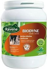 Zdjęcie Ravene Biodyne 1 Kg Beżowy - Sokółka