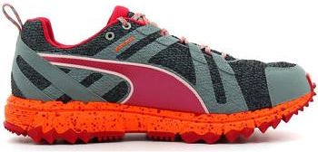 puma faas 500 ceneo puma faas 500 ceneo