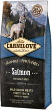Carnilove Salmon For Adult 12Kg