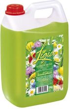 Zdjęcie Ligia Mydło W Płynie Zapach Kwiaty Polne 5Kg (P34150) - Lipiany