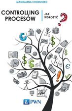 Zdjęcie Controlling procesów (E-book) - Trzcińsko-Zdrój