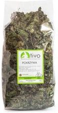 Zdjęcie Tivo Liść Pokrzywy 100G (Tv07A) - Żory