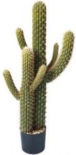 Miloo Kaktus W Donicy 109 Cm (Ml3233) - zdjęcie 1