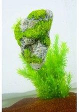 Zdjęcie ZOLUX Dekoracja Skała Pływająca L - Skarszewy