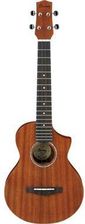 Zdjęcie Ibanez UEWT5-OPN Ukulele - Brzeg