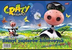 Zdjęcie Majewski Papier Kolor Samop. B4 8K Mix (Mj8154) - Poznań