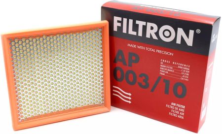 FILTRON Filtr powietrza - AP003/10
