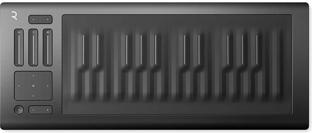 ROLI Seaboard RISE 25 - Ceny i opinie - Ceneo.pl