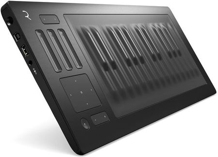 ROLI Seaboard RISE 25 - Ceny i opinie - Ceneo.pl