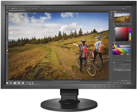 Monitor EIZO ColorEdge 24 czarny (CS2420 BK) - Opinie i ceny
