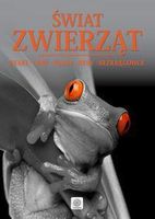 Zdjęcie Świat zwierząt Ptaki gady płazy ryby bezkręgowce - Kościan
