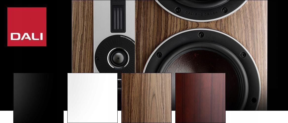 Dali Rubicon 2 Czarny - Opinie i ceny na Ceneo.pl