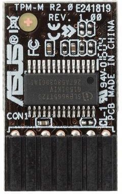 ASUS TPM-M R2.0 (90MC03W0-M0XBN1) - zdjęcie 1 ASUS TPM-M R2.0 (90MC03W0-M0XBN1)